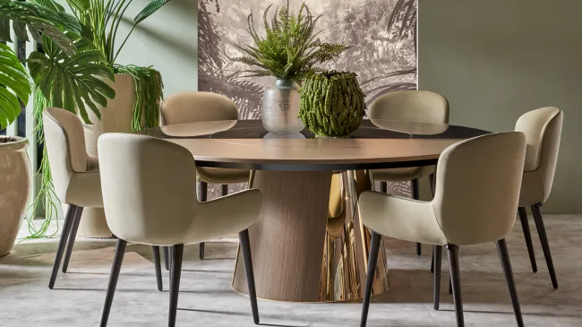 Chairs for modern dining rooms: a combination of style and comfort